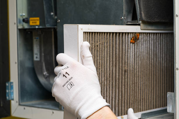Best Air Duct Mold Removal  in North Apollo, PA